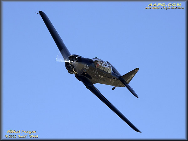 If Image Does Not Match Description - Click Here To Refresh Page