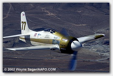 click here for Rare Bear POTW