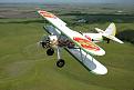 Click image for larger version

Name:	Jelly Belly Stearman.jpg
Views:	489
Size:	32.7 KB
ID:	216192