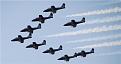 Click image for larger version

Name:	Snowbirds1.jpg
Views:	234
Size:	18.5 KB
ID:	238447