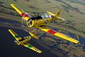 Click image for larger version

Name:	Warbird Adventures T-6's.jpg
Views:	374
Size:	264.8 KB
ID:	240310