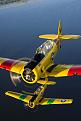 Click image for larger version

Name:	Warbird Adventures Vert 2.jpg
Views:	335
Size:	161.9 KB
ID:	240311