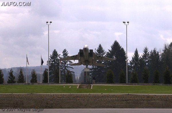 CLICK HERE OR BUTTON BELOW TO GO TO NEXT PAGE IN GALLERY