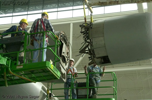 CLICK HERE OR BUTTON BELOW TO GO TO NEXT PAGE IN GALLERY