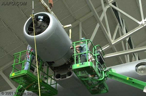 CLICK HERE OR BUTTON BELOW TO GO TO NEXT PAGE IN GALLERY