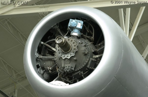 CLICK HERE OR BUTTON BELOW TO GO TO NEXT PAGE IN GALLERY