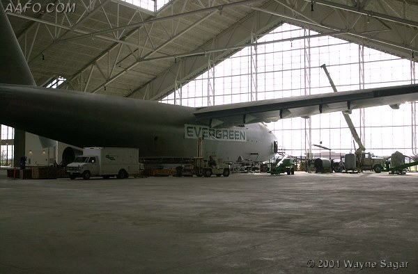 CLICK HERE OR BUTTON BELOW TO GO TO NEXT PAGE IN GALLERY