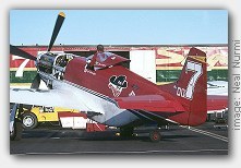 click here to enlarge image