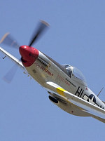 click here to enlarge image in pop-up window