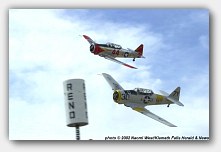 click on image to enlarge in pop-up window