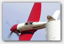 click on image to enlarge in pop-up window