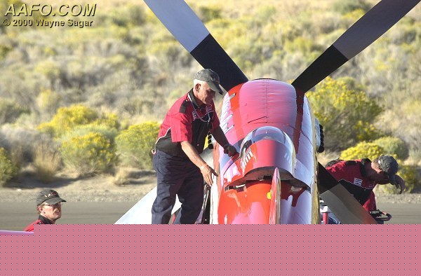 CLICK HERE OR BUTTON BELOW TO GO TO NEXT PAGE IN GALLERY