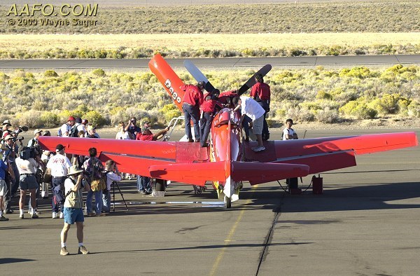 CLICK HERE OR BUTTON BELOW TO GO TO NEXT PAGE IN GALLERY