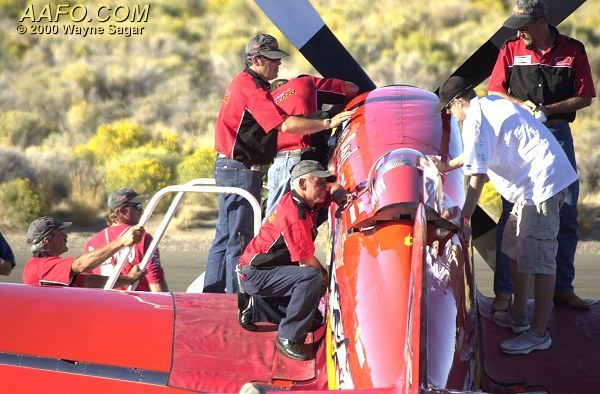 CLICK HERE OR BUTTON BELOW TO GO TO NEXT PAGE IN GALLERY