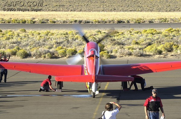 CLICK HERE OR BUTTON BELOW TO GO TO NEXT PAGE IN GALLERY