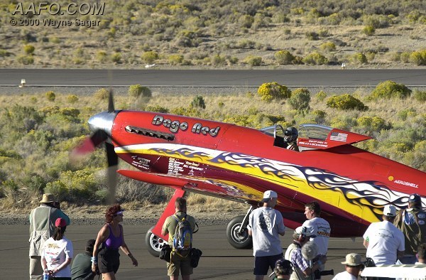 CLICK HERE OR BUTTON BELOW TO GO TO NEXT PAGE IN GALLERY