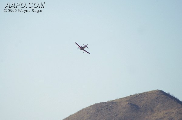 CLICK HERE OR BUTTON BELOW TO GO TO NEXT PAGE IN GALLERY