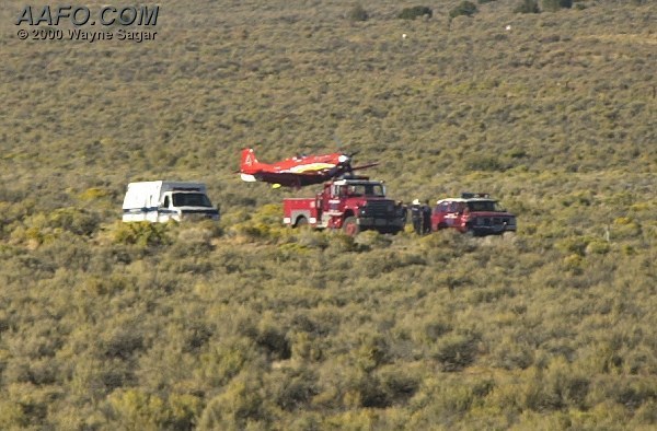 CLICK HERE OR BUTTON BELOW TO GO TO NEXT PAGE IN GALLERY