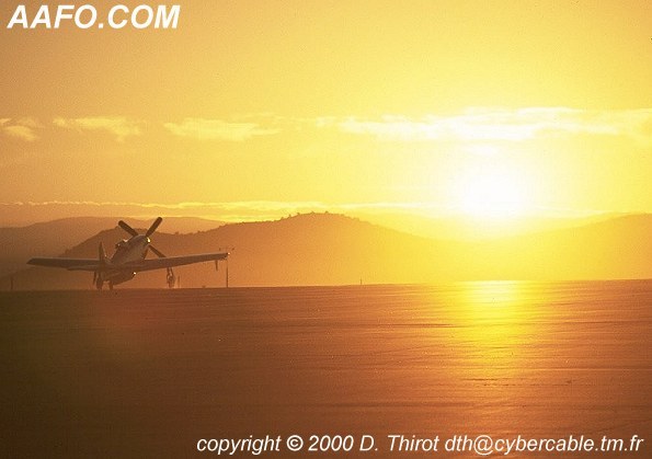 CLICK HERE OR BUTTON BELOW TO GO TO NEXT PAGE IN GALLERY