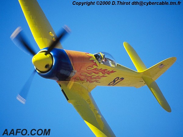 CLICK HERE OR BUTTON BELOW TO GO TO NEXT PAGE IN GALLERY