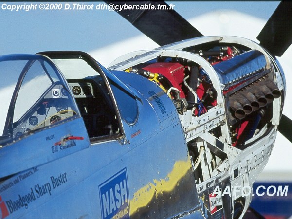 CLICK HERE OR BUTTON BELOW TO GO TO NEXT PAGE IN GALLERY