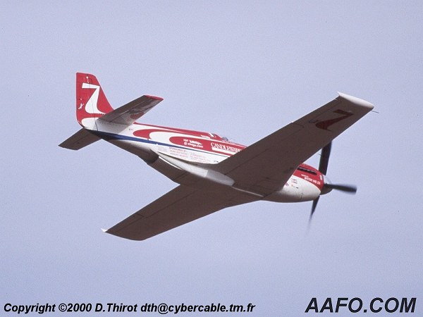 CLICK HERE OR BUTTON BELOW TO GO TO NEXT PAGE IN GALLERY