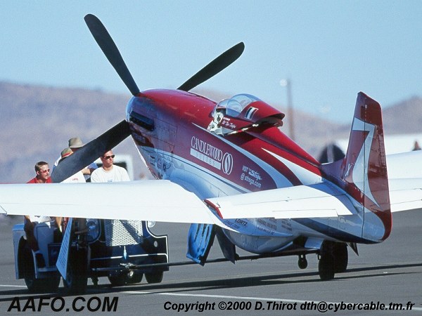 CLICK HERE OR BUTTON BELOW TO GO TO NEXT PAGE IN GALLERY