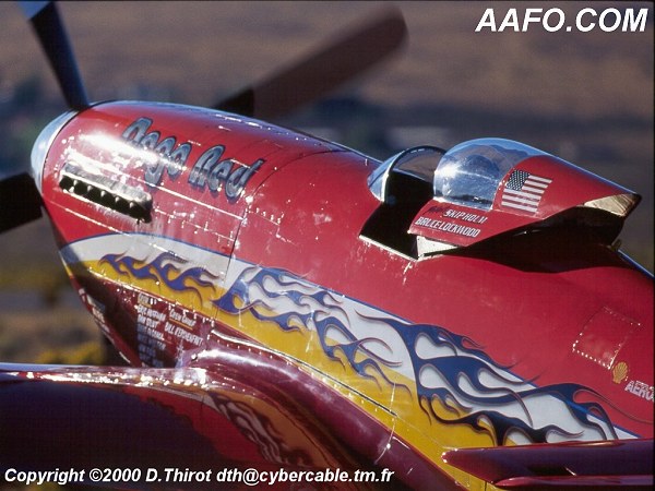 CLICK HERE OR BUTTON BELOW TO GO TO NEXT PAGE IN GALLERY