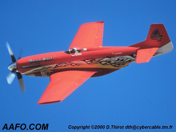 CLICK HERE OR BUTTON BELOW TO GO TO NEXT PAGE IN GALLERY