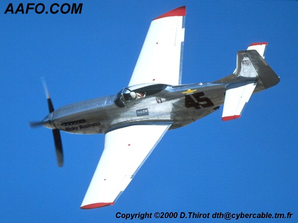 CLICK HERE OR BUTTON BELOW TO GO TO NEXT PAGE IN GALLERY