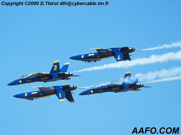 CLICK HERE OR BUTTON BELOW TO GO TO NEXT PAGE IN GALLERY