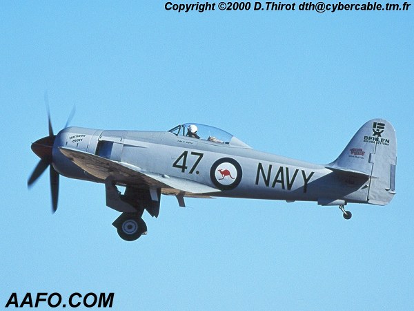 CLICK HERE OR BUTTON BELOW TO GO TO NEXT PAGE IN GALLERY