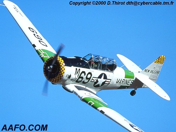 CLICK HERE OR BUTTON BELOW TO GO TO NEXT PAGE IN GALLERY