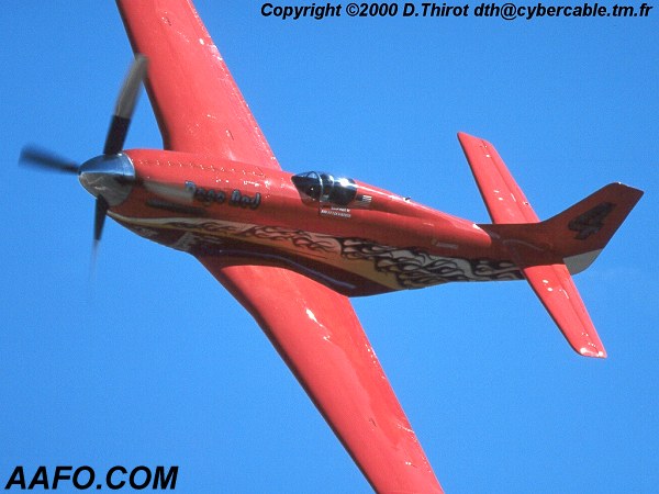 CLICK HERE OR BUTTON BELOW TO GO TO NEXT PAGE IN GALLERY