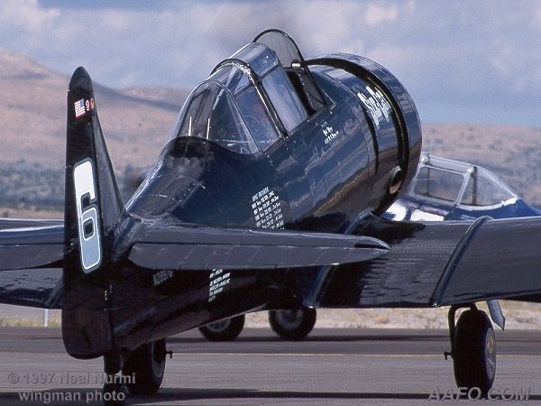 CLICK HERE OR BUTTON BELOW TO GO TO NEXT PAGE IN GALLERY