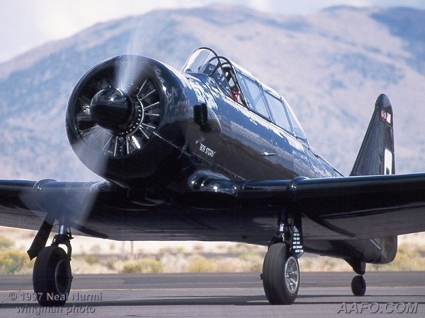 CLICK HERE OR BUTTON BELOW TO GO TO NEXT PAGE IN GALLERY