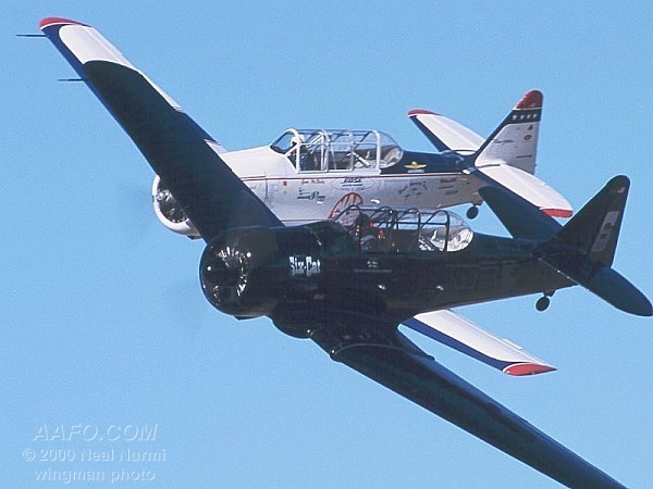 CLICK HERE OR BUTTON BELOW TO GO TO NEXT PAGE IN GALLERY