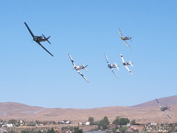 CLICK HERE OR BUTTON BELOW TO GO TO NEXT PAGE IN GALLERY