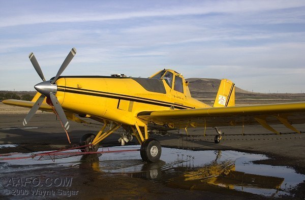 click here to return to interview