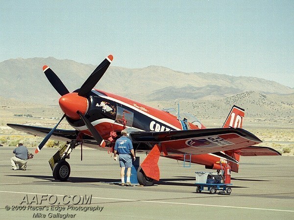 CLICK HERE OR BUTTON BELOW TO GO TO NEXT PAGE IN GALLERY