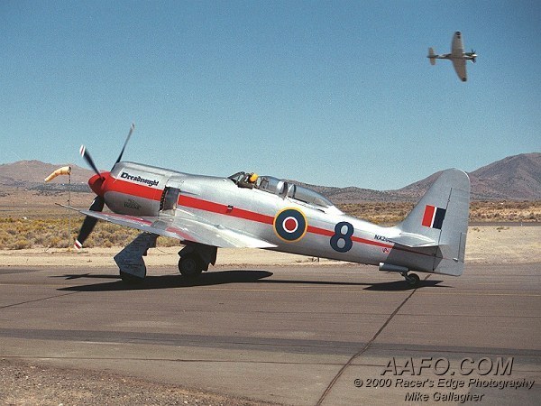 CLICK HERE OR BUTTON BELOW TO GO TO NEXT PAGE IN GALLERY