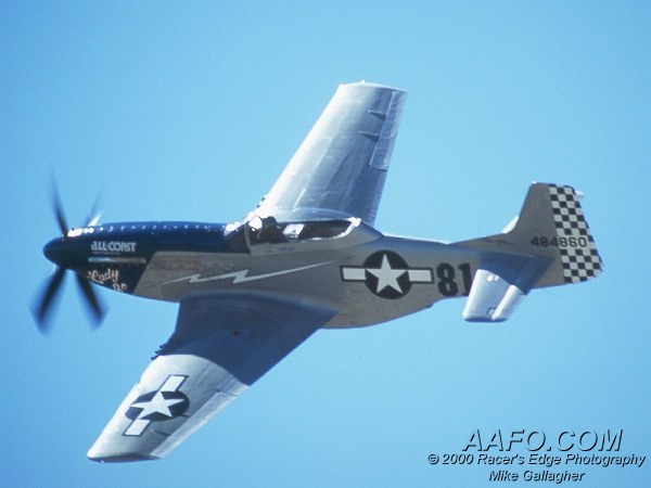 CLICK HERE OR BUTTON BELOW TO GO TO NEXT PAGE IN GALLERY