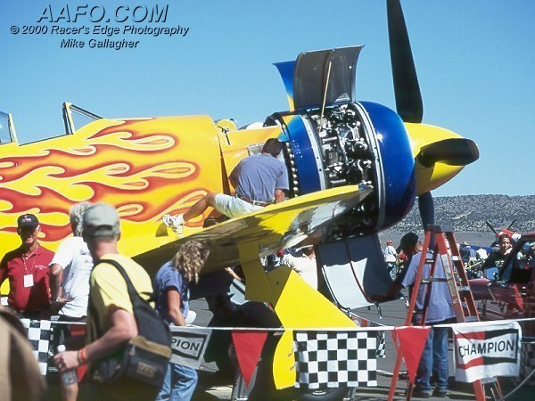 CLICK HERE OR BUTTON BELOW TO GO TO NEXT PAGE IN GALLERY