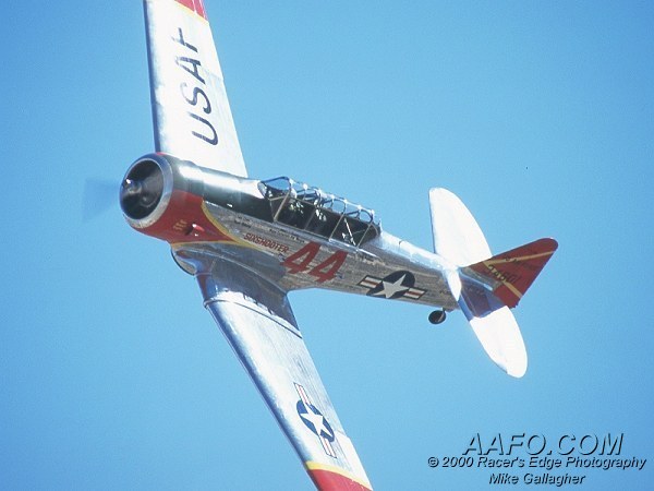 CLICK HERE OR BUTTON BELOW TO GO TO NEXT PAGE IN GALLERY