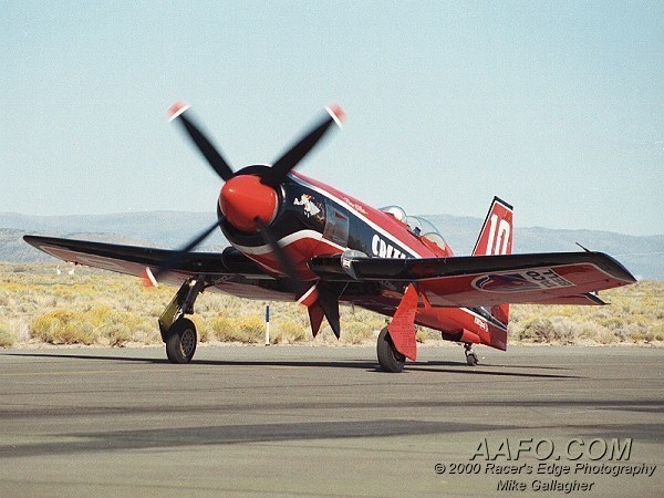 CLICK HERE OR BUTTON BELOW TO GO TO NEXT PAGE IN GALLERY