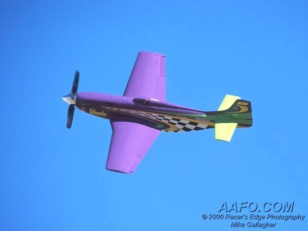 CLICK HERE OR BUTTON BELOW TO GO TO NEXT PAGE IN GALLERY