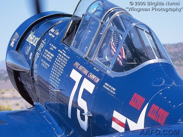 CLICK HERE OR BUTTON BELOW TO GO TO NEXT PAGE IN GALLERY