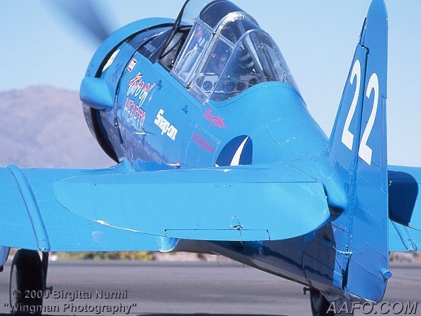 CLICK HERE OR BUTTON BELOW TO GO TO NEXT PAGE IN GALLERY