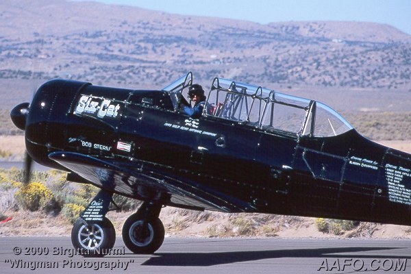 CLICK HERE OR BUTTON BELOW TO GO TO NEXT PAGE IN GALLERY