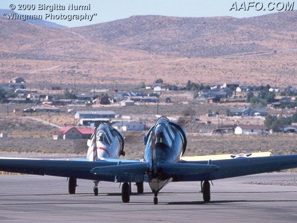 CLICK HERE OR BUTTON BELOW TO GO TO NEXT PAGE IN GALLERY